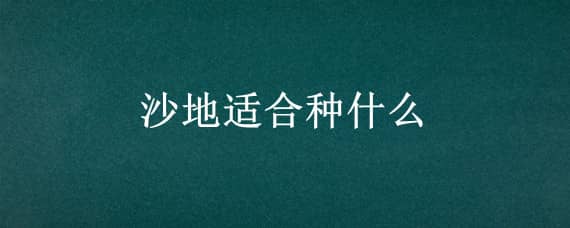 沙地适合种什么（沙地适合种什么草）