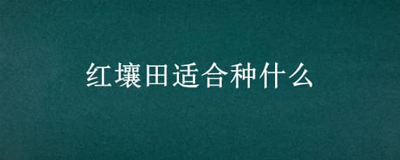 红壤田适合种什么（红土壤适合种什么）