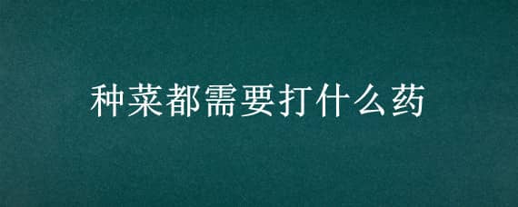 种菜都需要打什么药 种菜一般打什么药