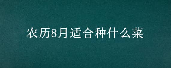 农历8月适合种什么菜（适合农历八月种的菜）