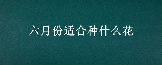 六月份适合种什么花（六月份适合种什么花籽）