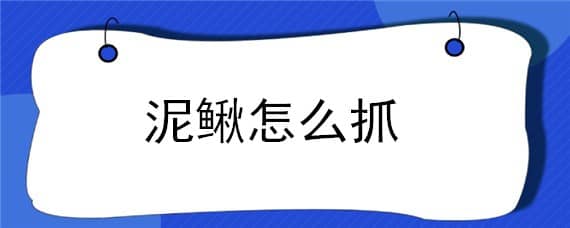 泥鳅怎么抓（晚上泥鳅怎么抓）