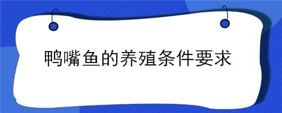 鸭嘴鱼的养殖条件要求 鸭嘴鱼的养殖条件要求水温