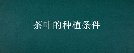 茶叶的种植条件 茶叶的种植条件是什么