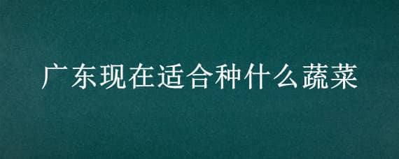 广东现在适合种什么蔬菜（广东现在种什么菜蔬菜最合适）