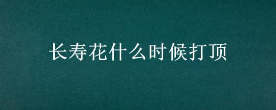 长寿花什么时候打顶 长寿花什么时候打顶最合适