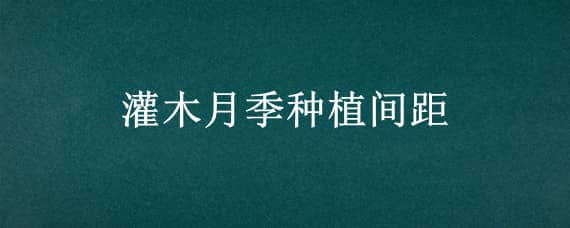 灌木月季种植间距（灌木月季地栽最佳间隔距离）