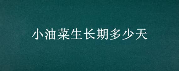 小油菜生长期多少天 小油菜生长期多少天收获