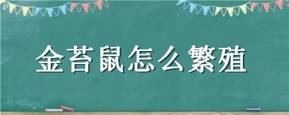 金苔鼠怎么繁殖 金苔鼠产卵