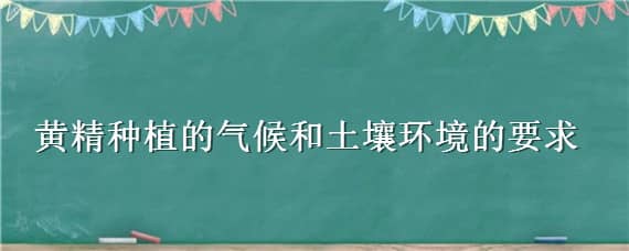 黄精种植的气候和土壤环境的要求 黄精种植对环境的要求