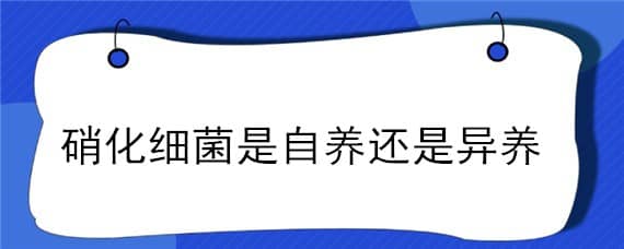 硝化细菌是自养还是异养（硝化细菌是自养还是异养生物）