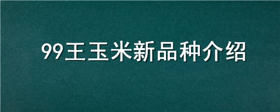 99王玉米新品种介绍 99王玉米种子介绍