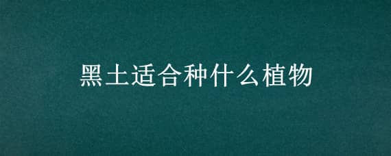 黑土适合种什么植物 黑土适合种植什么植物