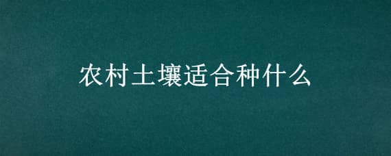 农村土壤适合种什么（农村土地适合种什么）