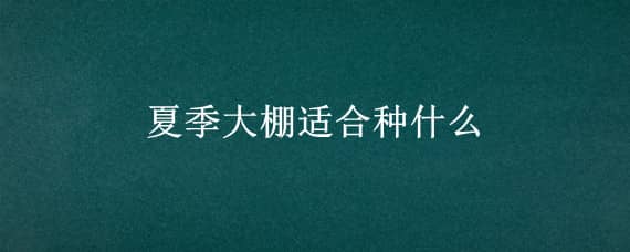 夏季大棚适合种什么（夏季大棚适合种什么药材）