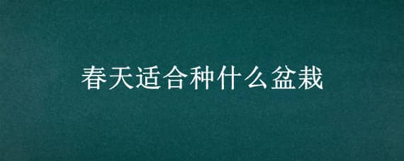 春天适合种什么盆栽 春天适合种什么盆栽蔬菜