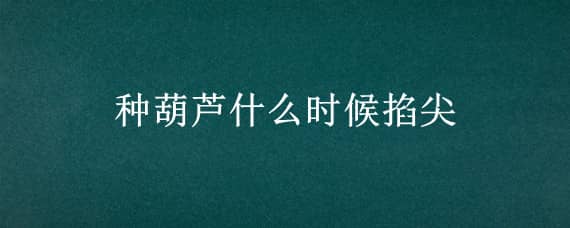 种葫芦什么时候掐尖（葫芦要掐尖吗）