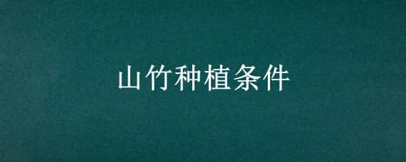 山竹种植条件 山竹种植条件最低气温