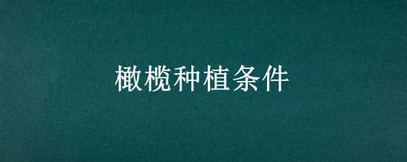 橄榄种植条件（橄榄种植条件 海拔 经纬度）