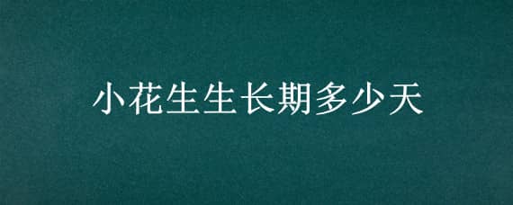 小花生生长期多少天（小花生生长期多少天能吃）