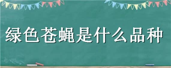 绿色苍蝇是什么品种 绿色苍蝇是什么品种的苍蝇