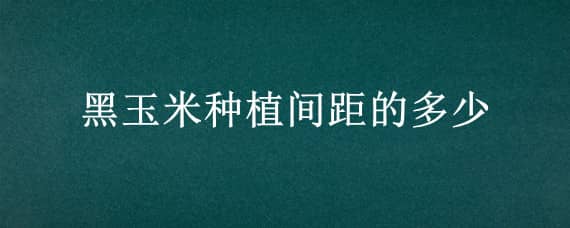 黑玉米种植间距的多少 玉米植株间距