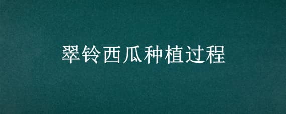 翠铃西瓜种植过程 翠玲西瓜种植技术