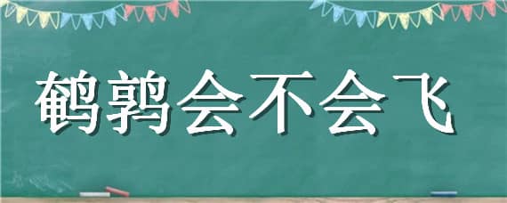 鹌鹑会不会飞（鹌鹑会不会飞翔）