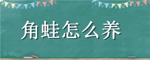 角蛙怎么养 宇治角蛙怎么养