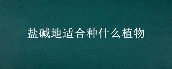 盐碱地适合种什么植物 盐碱地适合种什么植物?