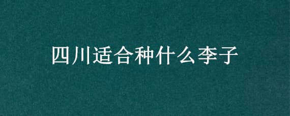 四川适合种什么李子 四川适合种什么李子树