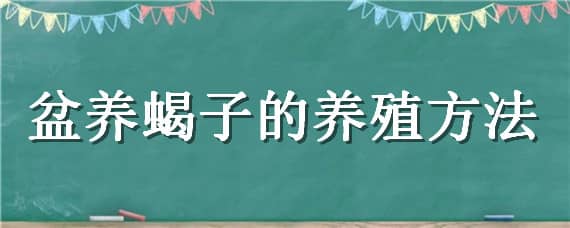 盆养蝎子的养殖方法（蝎子盆养视频初次养）