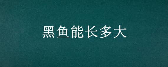 黑鱼能长多大（野生黑鱼能长多大）