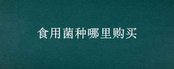 食用菌种哪里购买（食用菌种哪里购买安全）