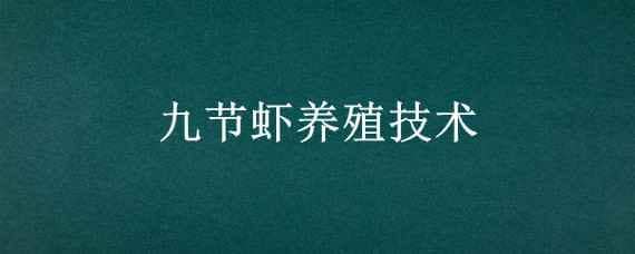 九节虾养殖技术 九节虾养殖技术是什么候