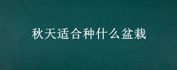 秋天适合种什么盆栽（秋天适合种什么盆栽果树）