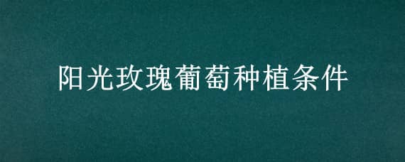 阳光玫瑰葡萄种植条件 阳光玫瑰葡萄种植气候