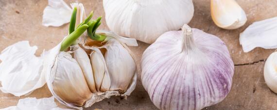 大蒜用什么肥料产量高 追什么肥能使大蒜高产