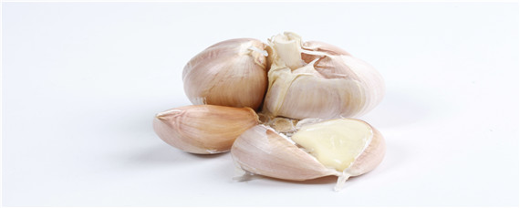 土里种大蒜的方法（怎样在土里种大蒜）