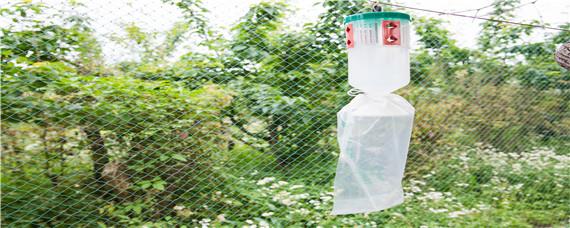 阿维毒死蜱杀虫行吗（阿维毒死蜱能杀红蜘蛛吗）