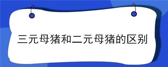 三元母猪和二元母猪的区别 怎样区别二元母猪和三元母猪