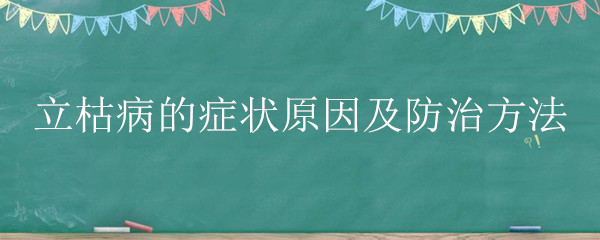 立枯病的症状原因及防治方法 棉花立枯病的症状原因及防治方法