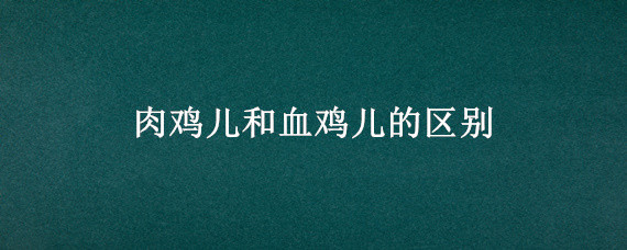 肉鸡儿和血鸡儿的区别 肉鸡血鸡的差别