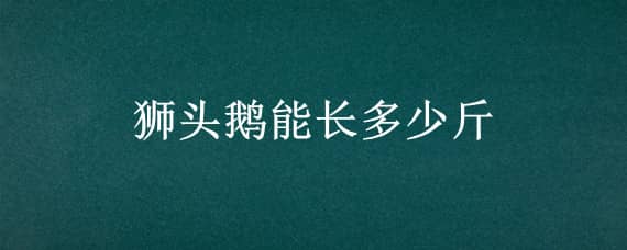 狮头鹅能长多少斤 巨型狮头鹅能长多少斤