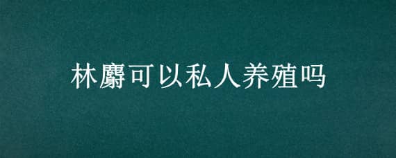 林麝可以私人养殖吗 林麝养殖户