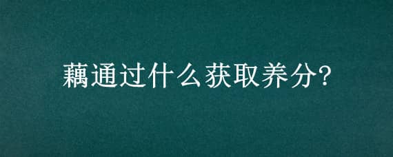 藕通过什么获取养分?（藕通过什么获取养分?藕丝）