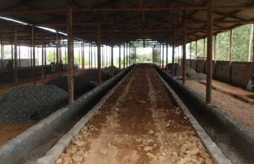 养牛场如何管理预防病害（养牛场管理技术要点）