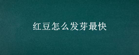 红豆怎么发芽最快 红豆怎样发芽快