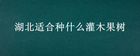 湖北适合种什么灌木果树（适合湖北地区种植的树木）