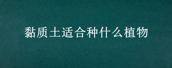 黏质土适合种什么植物 黏质土适合种什么植物?(回答时注明是黏质土